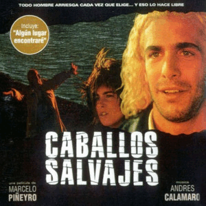 caballos salvages